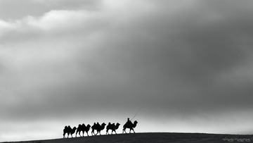 _DSC0221
