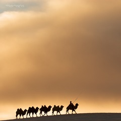 _DSC0221