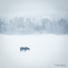 _DSC0002