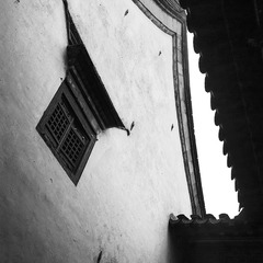 _DSC0048