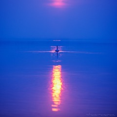 _DSC9758