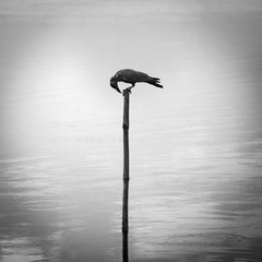 _DSC1913