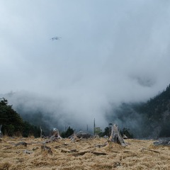 _DSC01.jpg