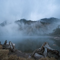 _DSC01181.jpg