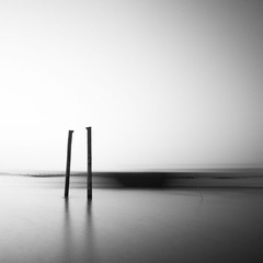 _DSC6212