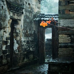 徽州雨