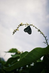 IMG_3569.jpg