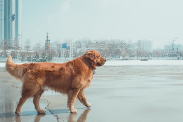 IMG_6681.jpg