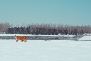 IMG_6677.jpg