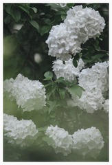 B555BBB0-2D92-4AFE-A9EE-245334D54DE7/L0/001