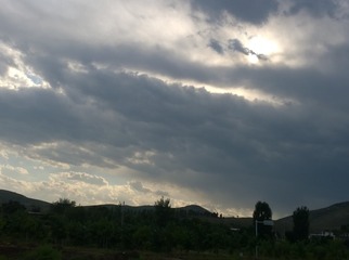 117518