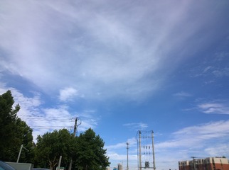 117517