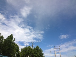 117516