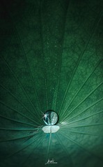 120802