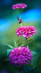 95FD0FB9-DE59-4B8A-8136-E09AE43C7E7F/L0/001