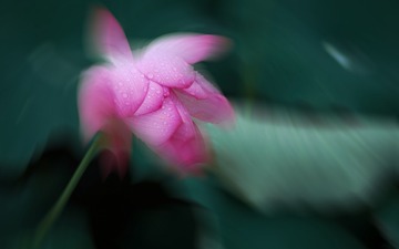 420F712B-2138-4148-9C6E-DB4D7C90B5AF/L0/001