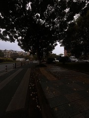 14D94A34-2BB8-4263-A507-2E8E7973B6BC/L0/001