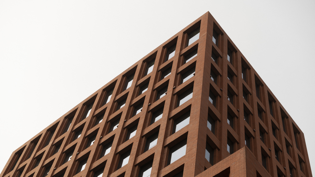 上海圆明园路扫街鸽子楼