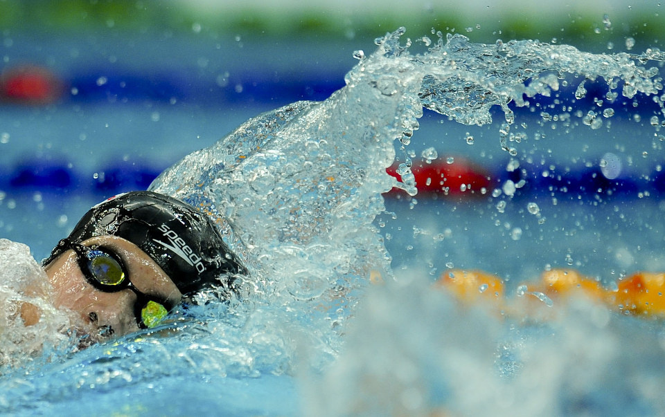 2011年11月8日,世界短池游泳锦标赛在水立方举行.