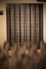 nEO_IMG_IMG_3380.jpg