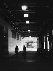nEO_IMG__7082137.jpg