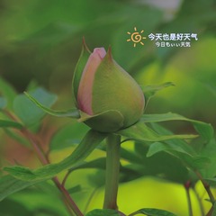 AE70D929-CE63-4676-8611-208EA87346DC/L0/001