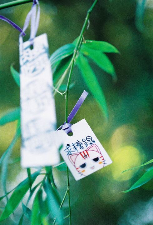 呃。。。<br />

