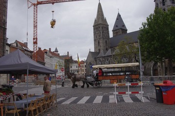 IMGP6318.JPG