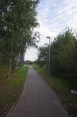 IMGP6367.JPG