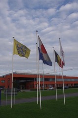 IMGP6370.JPG