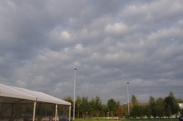 IMGP6412.JPG