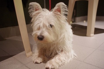 IMGP6499.JPG