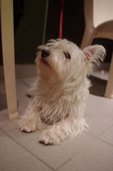 IMGP6500.JPG