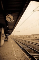 IMGP7012.jpg