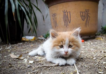 我叫小小