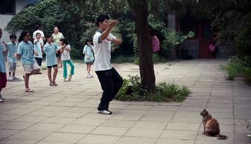 Master Shifu