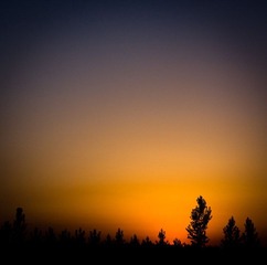 夕阳
