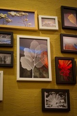 pictures