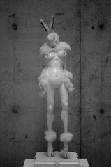 sexy rabbit