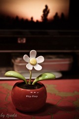 摇摇花
