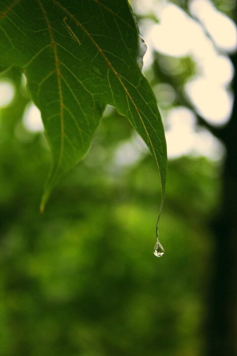 等待着一场滂沱的大雨。。。<br />

