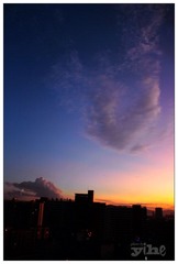 IMG_1014.jpg