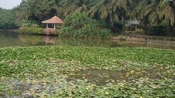 CIMG0477