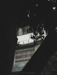48F975FC-F7B9-41DA-8E18-E1F94078932F/L0/001