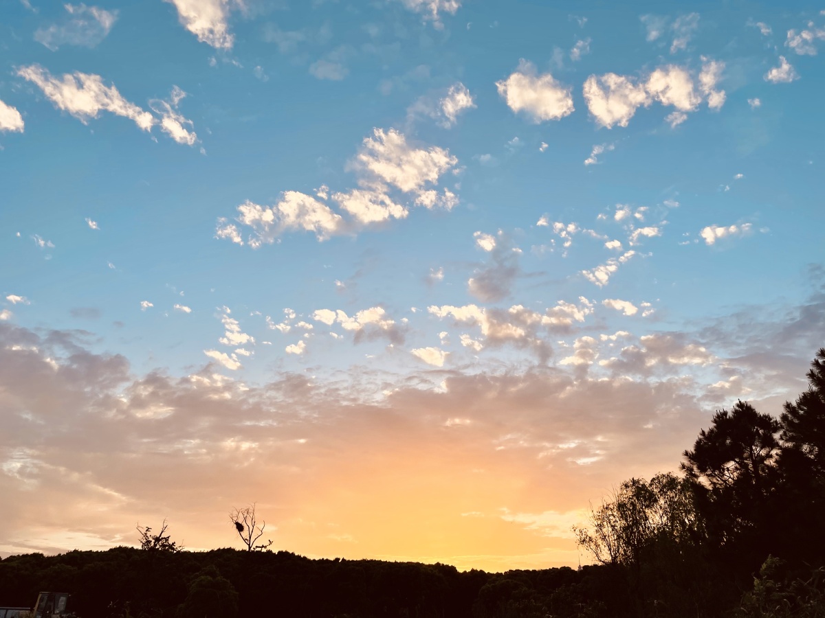 当晴天撞上雾!两种色调!你更喜欢那种? - n一buna - 图虫