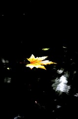 8941908_763542565_rotate.jpg