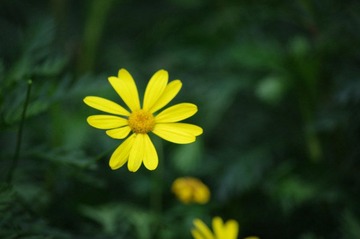 8941908_763544645_rotate.jpg