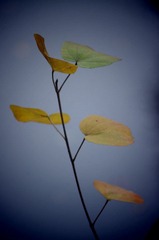 8941908_763544806_rotate.jpg