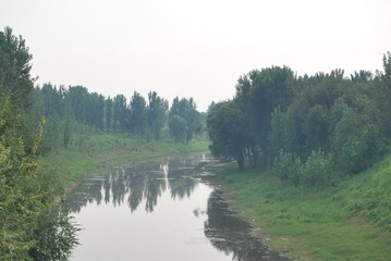 526008