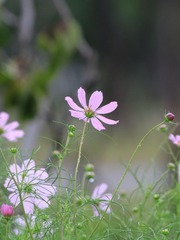 4C227A90-DC7C-4A5C-BC59-9EBB12B078D6/L0/001
